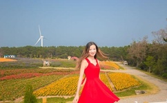 黑道学生4 txt全集下载